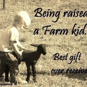 Meet your Posher, Gail